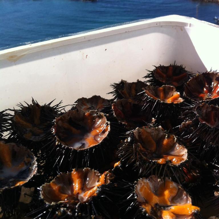Da Gigina al Mare - Appartamento con 2 Camere da Letto - 18
