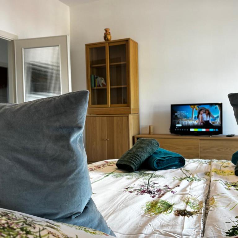 Apartment in the city center with PANORAMIC VIEW over the Lake and Verbania - Appartamento con 1 Camera da Letto e Vista Lago - 10