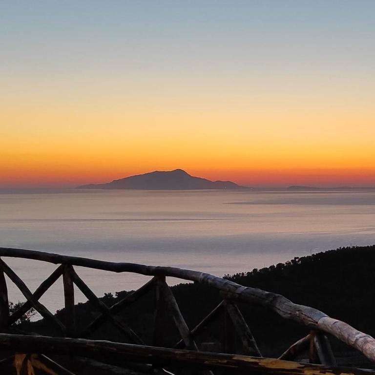 Il Tipo Apartment Studio in the heart of Sorrento - Appartamento con 2 Camere da Letto - 18