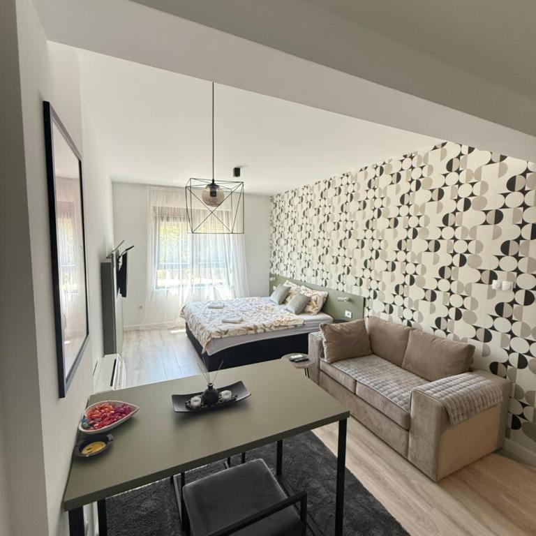 Andjusic 1 - Studio Apartman - 1
