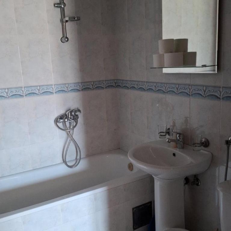 Vila Tamara Apartmani - Apartman sa 1 Spavaćom Sobom - 4