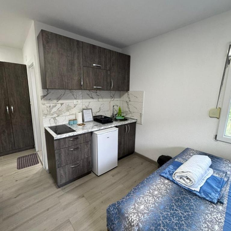 Spasic Apartments Sutomore - Deluks Dvokrevetna Soba sa Bračnim Krevetom i Balkonom - 5