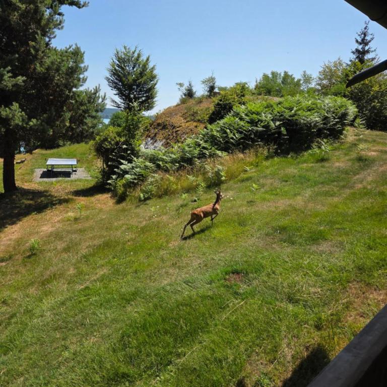 Alte Villa 400m2 Seegrund nur für euch - old villa with 400m2 beach just for you - Villa - 24
