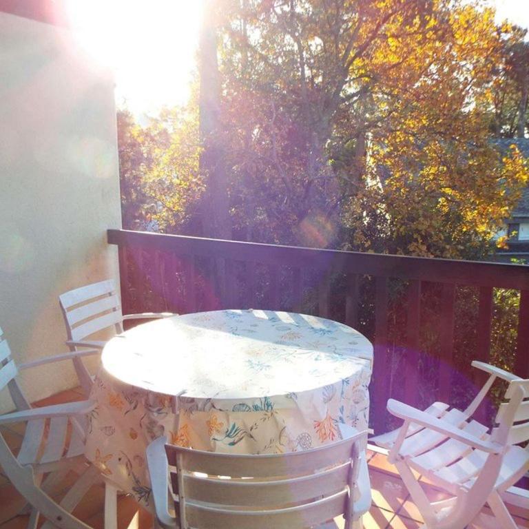 Carnac - Appartement cosy 2 pièces + mezzanine, Parking, Animaux admis - FR-1-477-51 - Appartement (5 Adultes) - 12