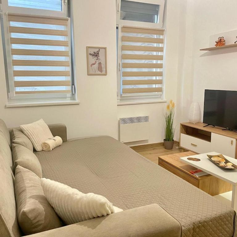 Mignon - Belgrade's Secret - One-Bedroom Apartment - 6