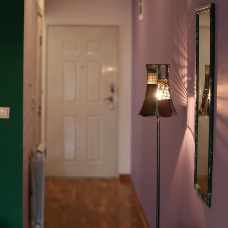 Purple and Green - One-Bedroom Apartment - 23