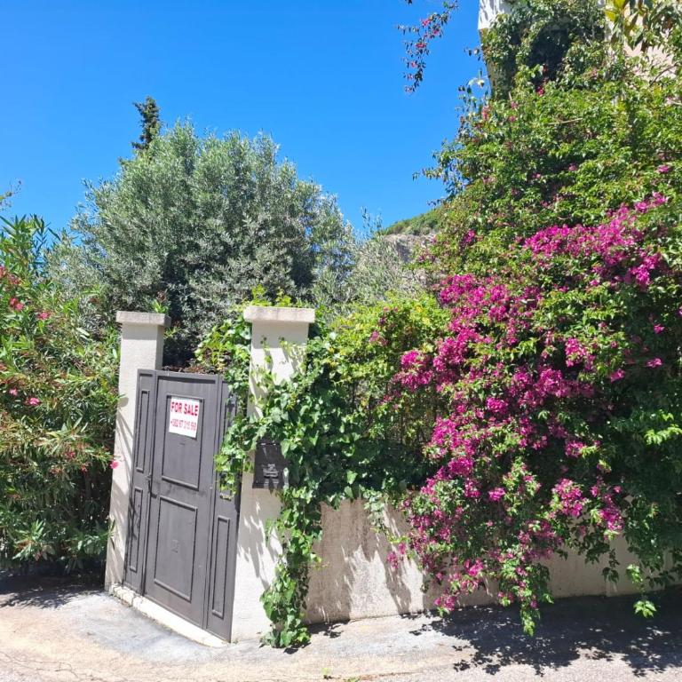 Apartments Villa Simonovic - Apartment - Split Level - 2