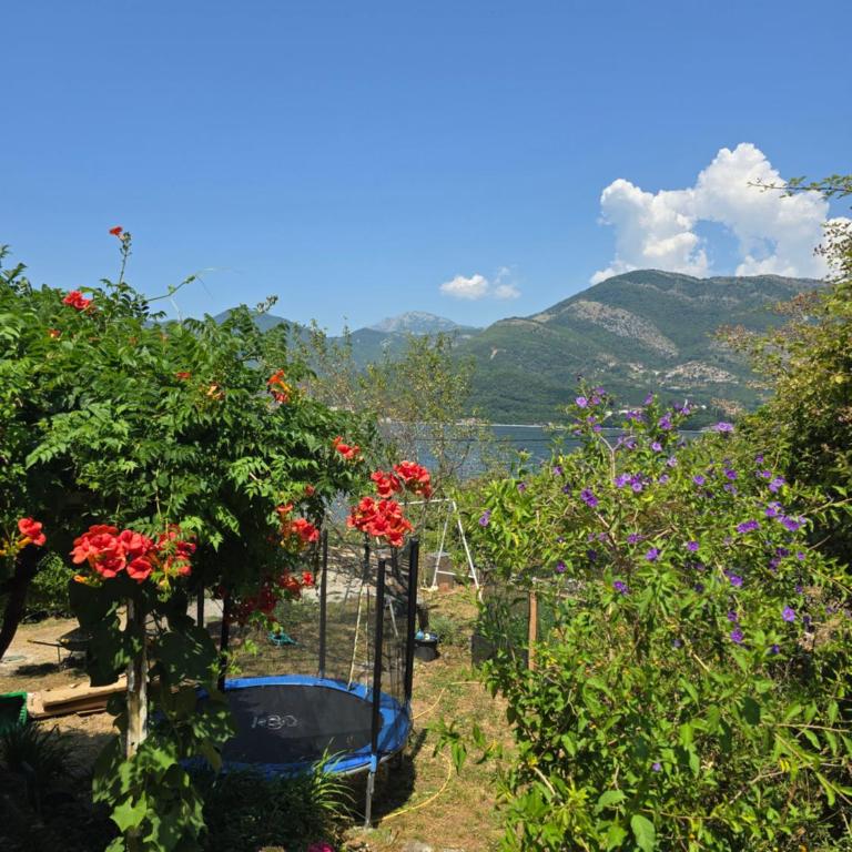 Apartmani Nikolić "Na pjeni od mora" - One-Bedroom Apartment - 11