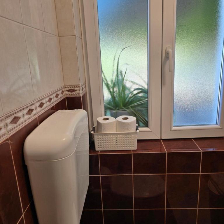 Apartmani Nikolić "Na pjeni od mora" - One-Bedroom Apartment - 13