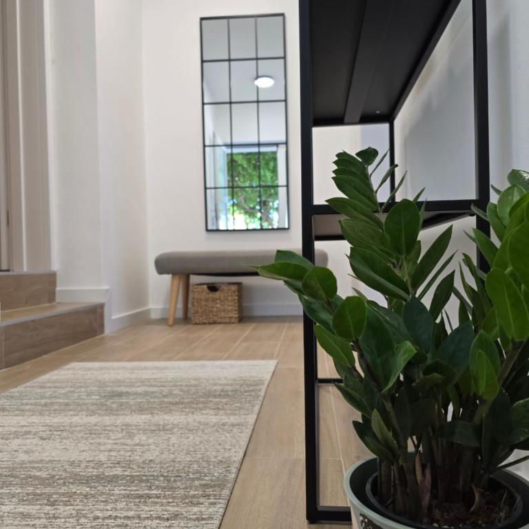 Apartmani Nikolić "Na pjeni od mora" - One-Bedroom Apartment - 24