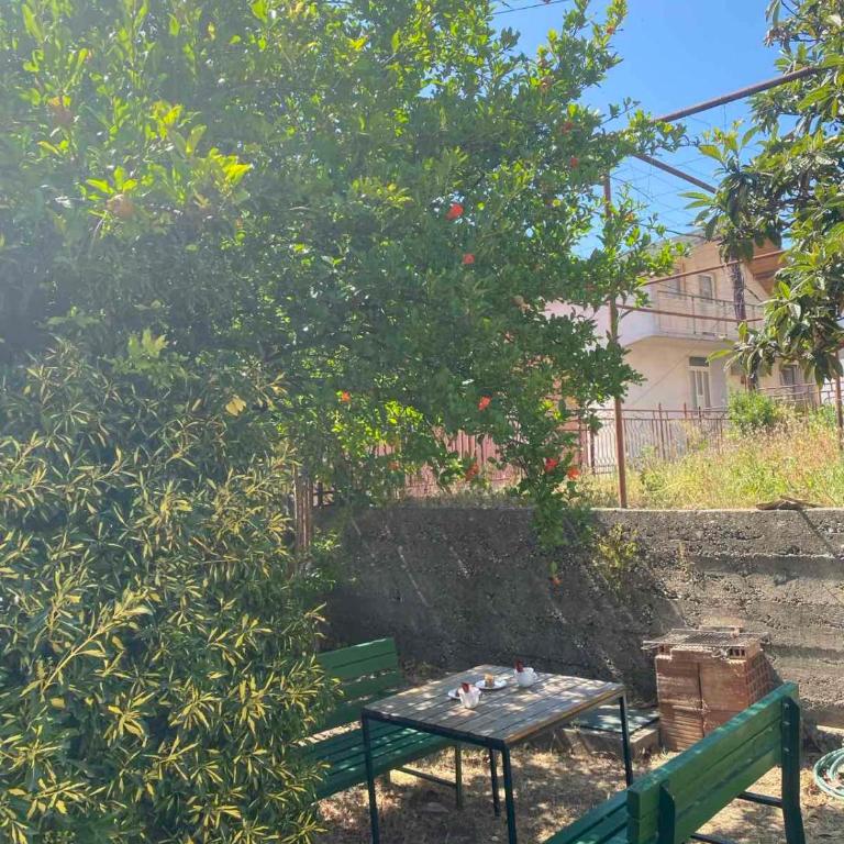 NANAs House - Entire Old House with private Yard - One-Bedroom Apartment - 18