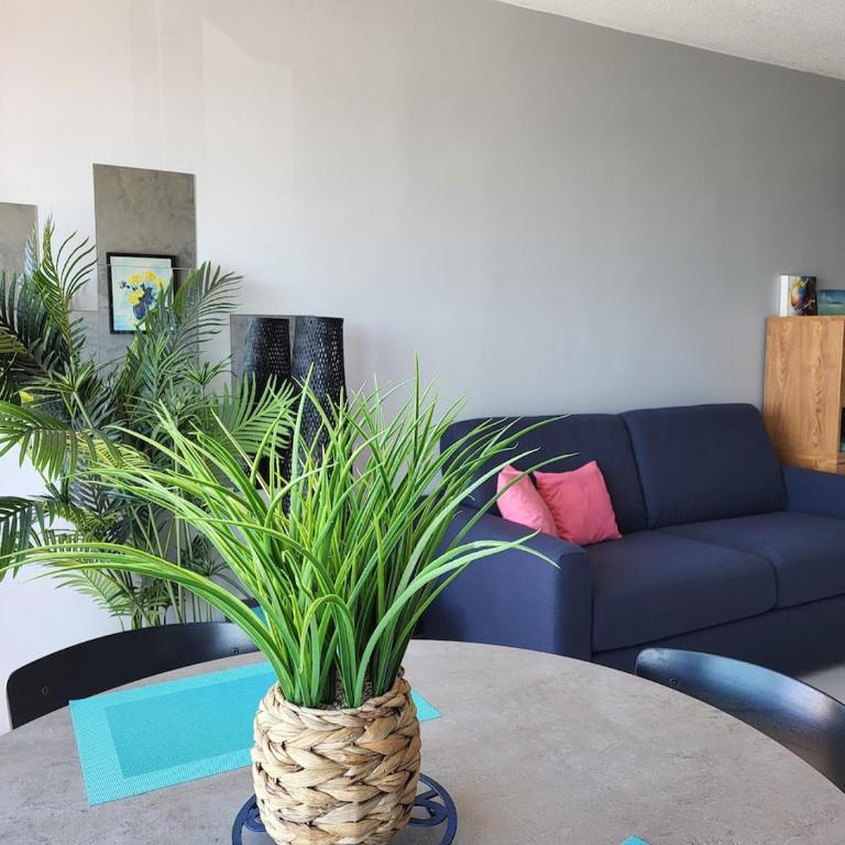 Studio 1 bedroom, very nice view with parking space - Appartement 2 Chambres - 5