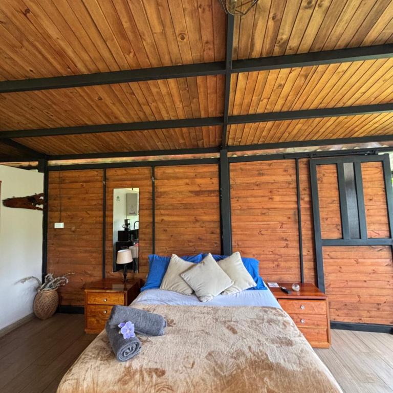 Cabaña Montecielo San Rafael - Casa con 1 dormitorio - 5