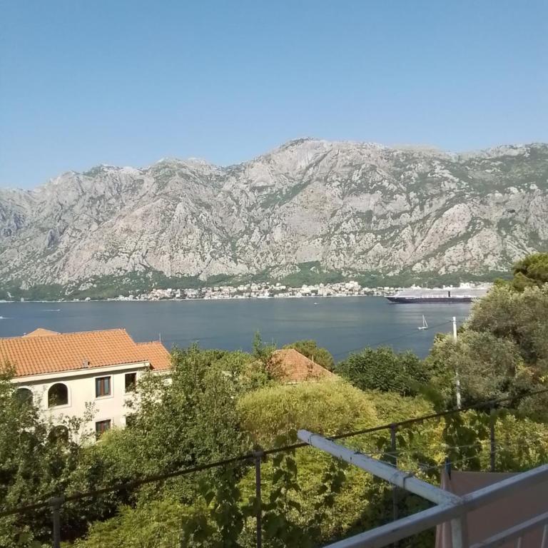 Apartments Djuricic - Apartment with Sea View - 1
