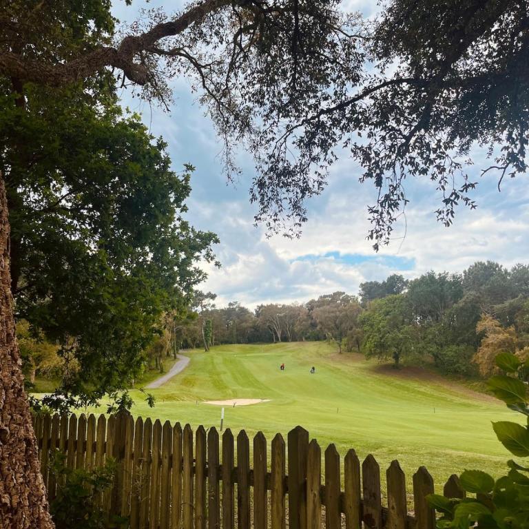 Cocoon Albatros, Golf view, pool, pine trees and ocean - Appartement 1 Chambre - 21