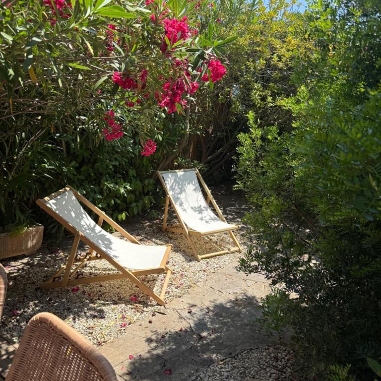 Petite maison cocooning classée 3 étoiles à Bormes les mimosas - Maison 1 Chambre - 3