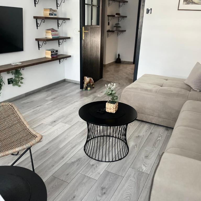 Apartman Darvin / Lux - Apartman sa 1 Spavaćom Sobom - 8