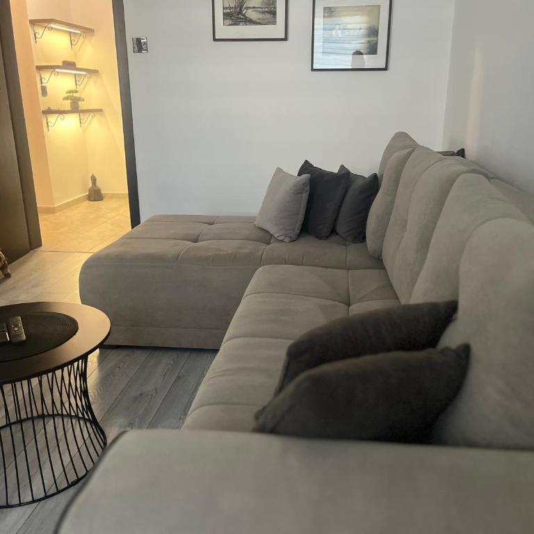 Apartman Darvin / Lux - Apartman sa 1 Spavaćom Sobom - 8