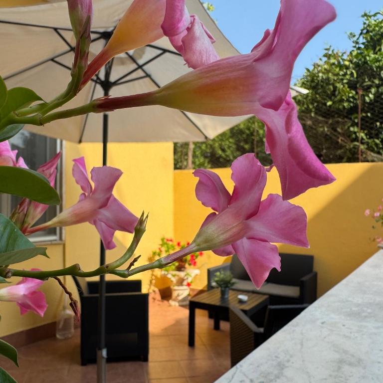 Villa Titina - Two-Bedroom Apartment - 9