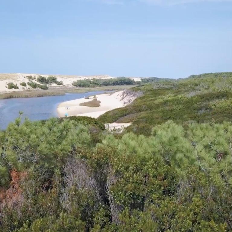 Cocoon Albatros, Golf view, pool, pine trees and ocean - Appartement 1 Chambre - 32
