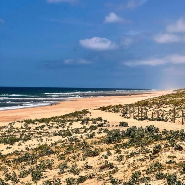 Cocoon Albatros, Golf view, pool, pine trees and ocean - Appartement 1 Chambre - 27