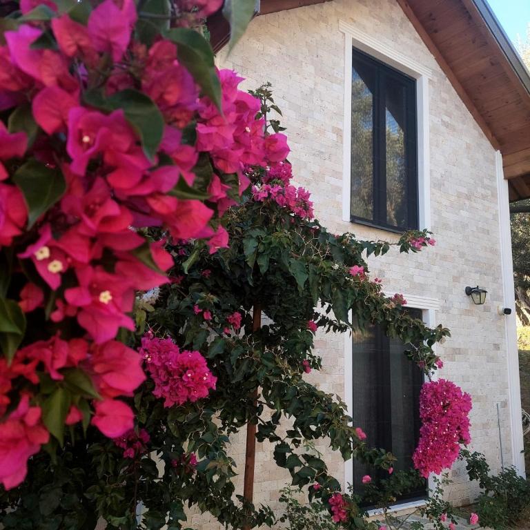 Villa Butterfly Valdanos - Vila sa 3 Spavaće Sobe - 23