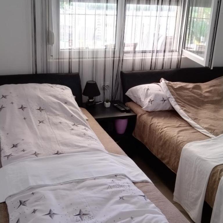 Sobe Paunović - Two-Bedroom Apartment - 23