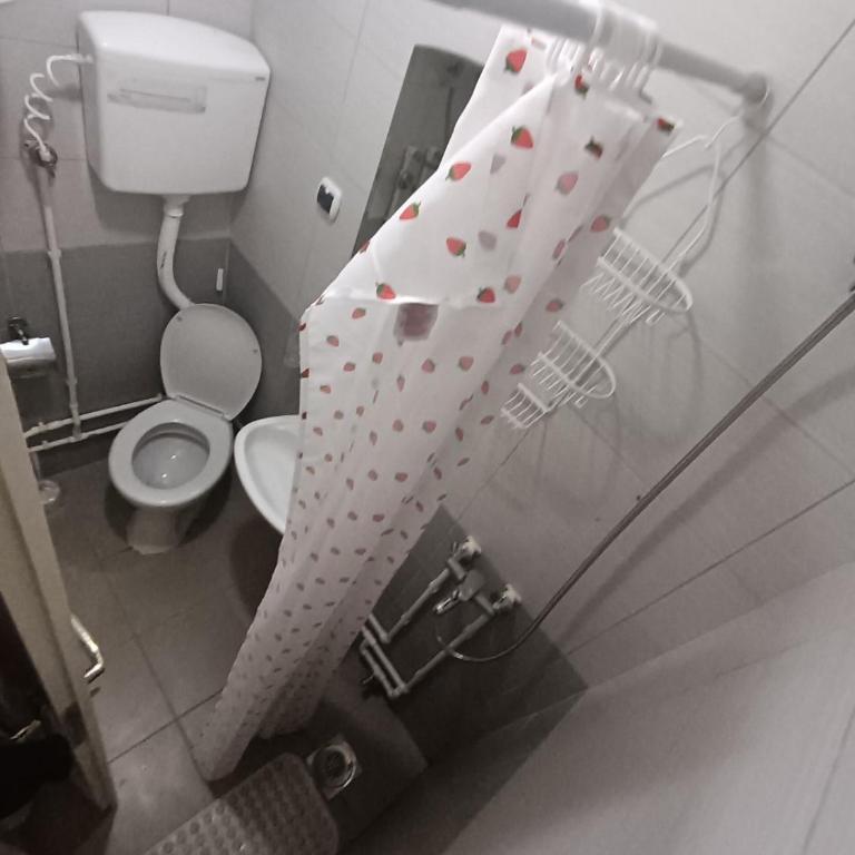 Sobe Paunović - Two-Bedroom Apartment - 25