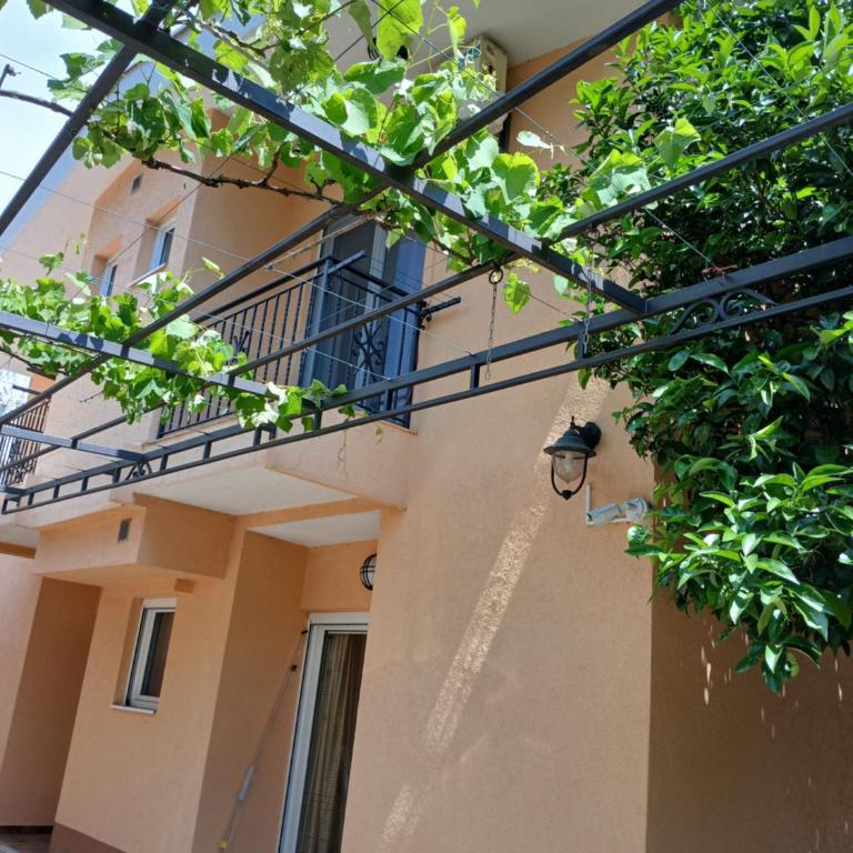 Apartmani Bisser - Porodična Soba - 2