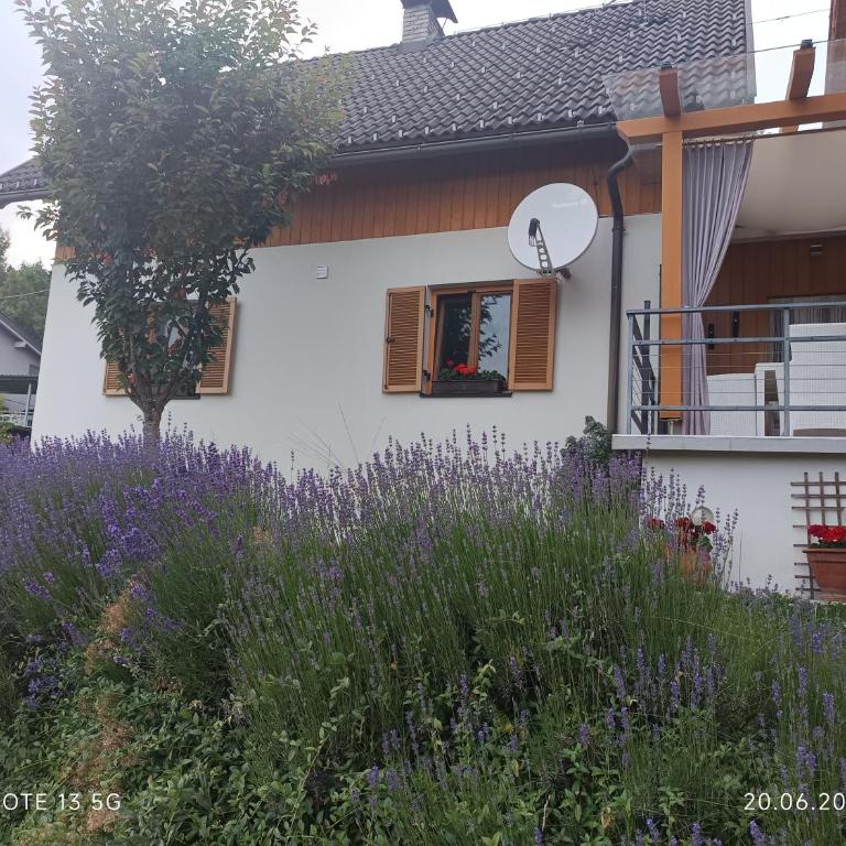 Ferienhaus Familie Zimmermann - Haus mit 1 Schlafzimmer - 12