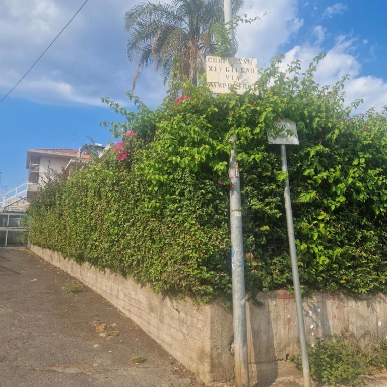 Akis, terrazza sul mare - Appartamento con 1 Camera da Letto - 17