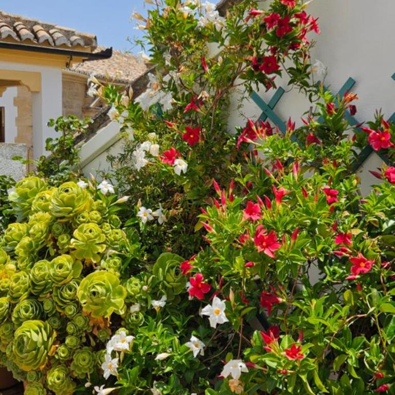 Apartamentos Los Descalzos Ángel With Private Terrace Free Parking - Apartamento de 1 dormitorio - 10