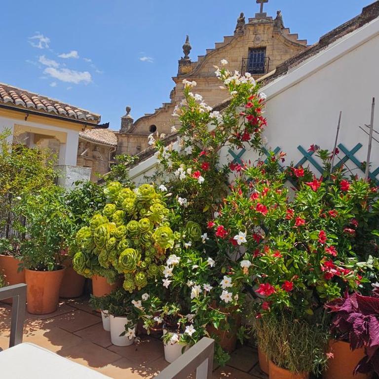 Apartamentos Los Descalzos Ángel With Private Terrace Free Parking - Apartamento de 1 dormitorio - 5
