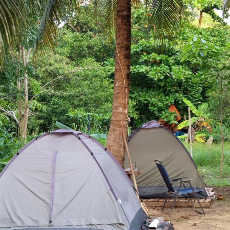 Cabañas y zona de camping Elis Johana - Tienda - 10