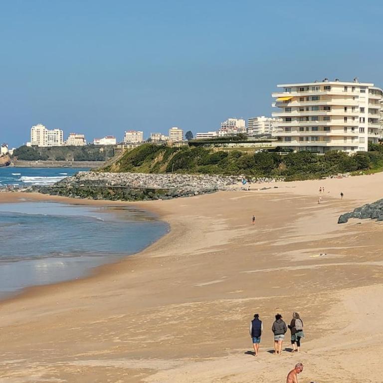 BIARRITZ-Face Mer-Appt T3-Plages-Piscine-Tennis - Apartamento de 2 dormitorios con vistas al mar - 15