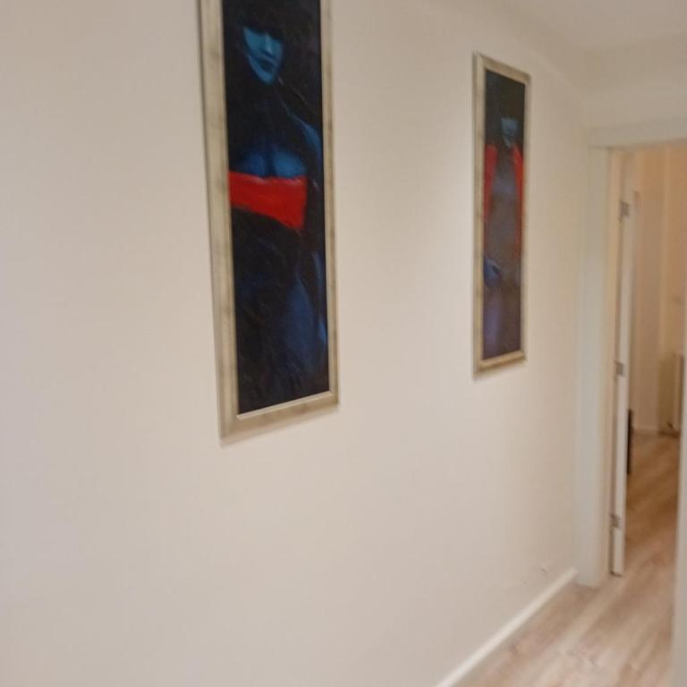 Senjak residence, apartment near Belgrade waterfront - One-Bedroom Apartment - 4