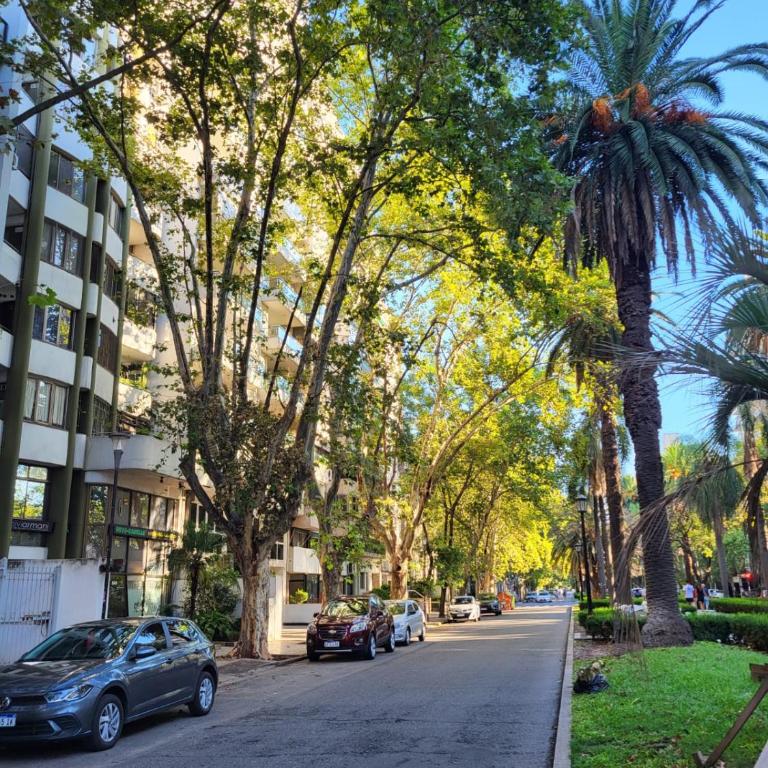 Casa Oroño - Apartamento de 3 dormitorios - 14