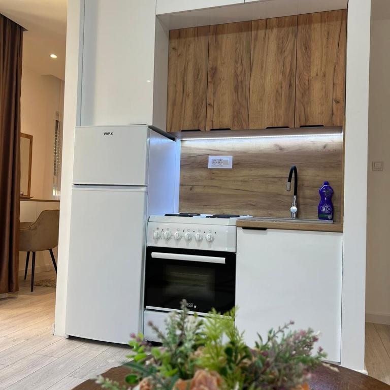 Apartments Hillside - Studio - 2