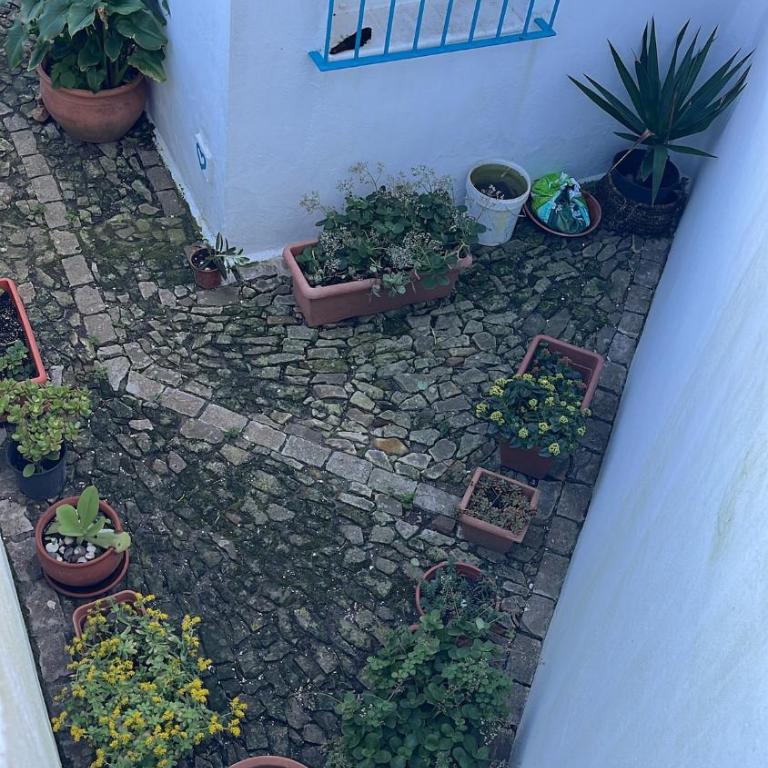 Blue house Nature and calm - Apartamento de 1 dormitorio - 35