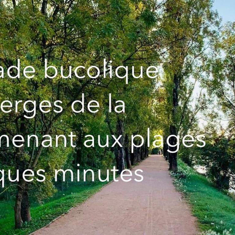 Oasis de verdure en centre-ville - jacuzzi privé - One-Bedroom Apartment - 8