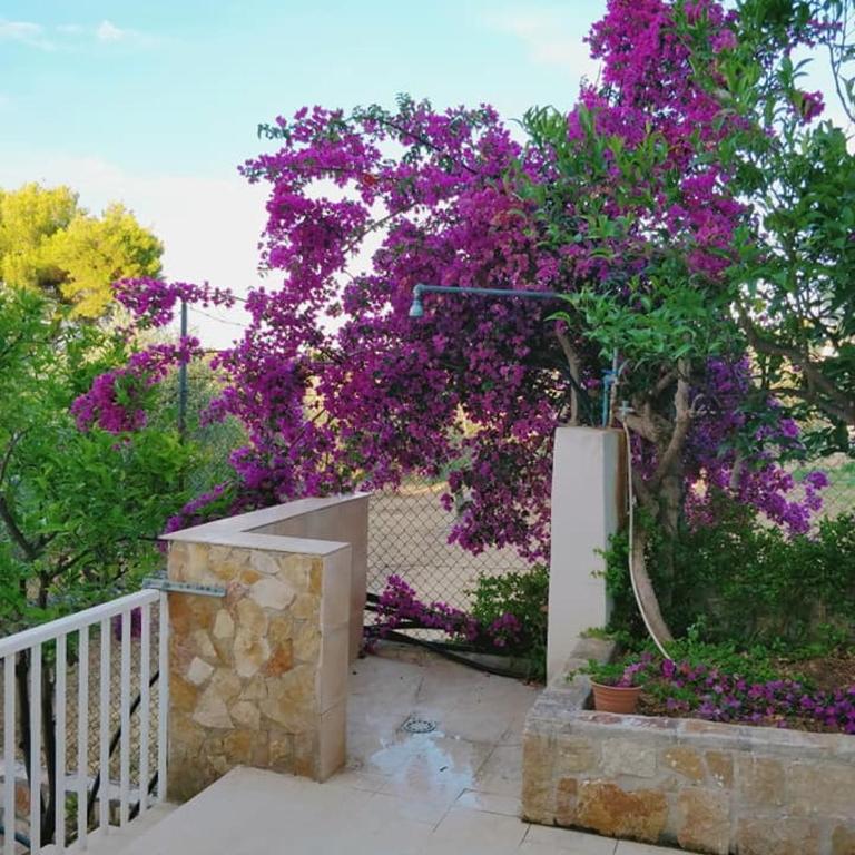 Villa Daniel bilocale nr 1 - Apartment mit 1 Schlafzimmer und Terrasse - 8