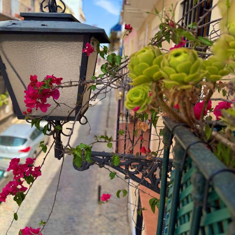 Aires de Triana - One-Bedroom Apartment - 2