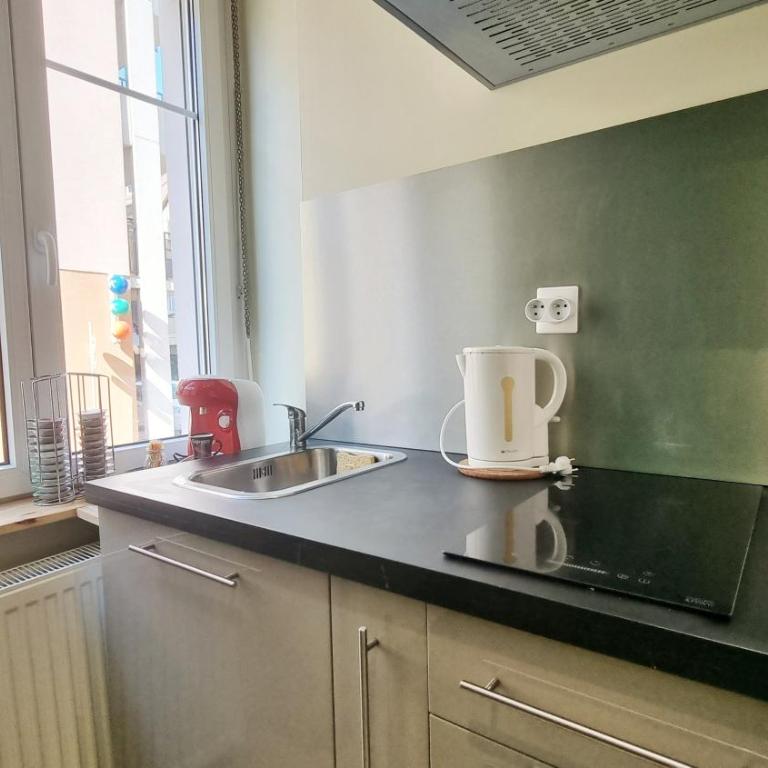 Splendide Studio Centre Colmar - Deluxe Apartment – Montagne verte - 7