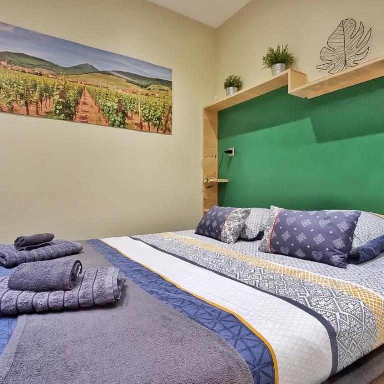 Splendide Studio Centre Colmar - Deluxe Apartment – Montagne verte - 4