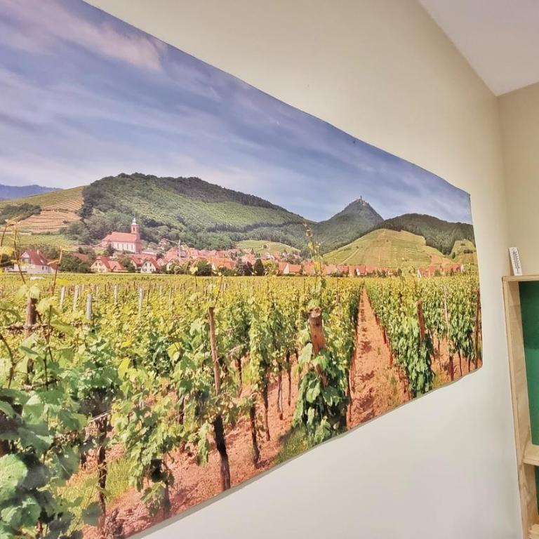 Splendide Studio Centre Colmar - Deluxe Apartment – Montagne verte - 1