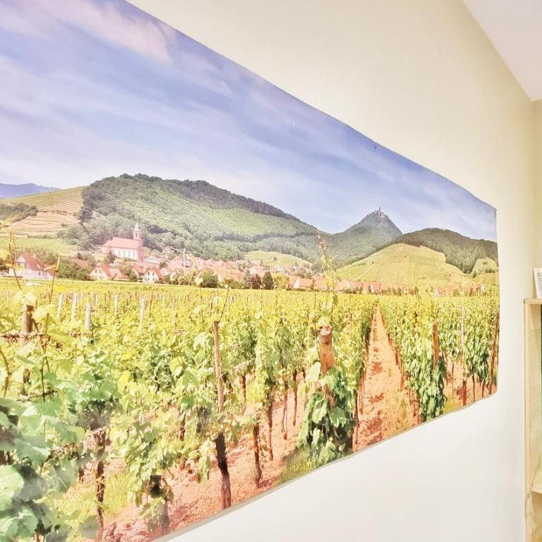 Splendide Studio Centre Colmar - Deluxe Apartment – Montagne verte - 25