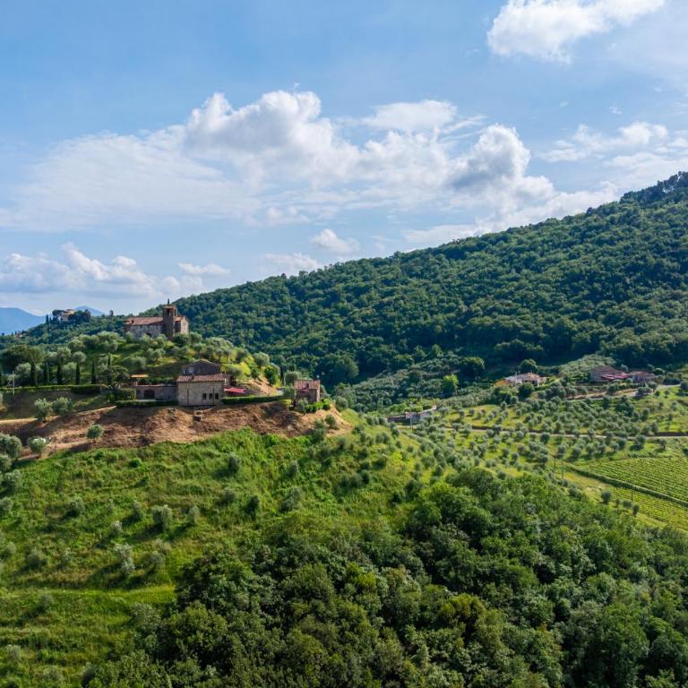 Borghetto Gaddini - Deluxe Apartments- Panoramic view and pool - Appartamento con 2 Camere da Letto - 3