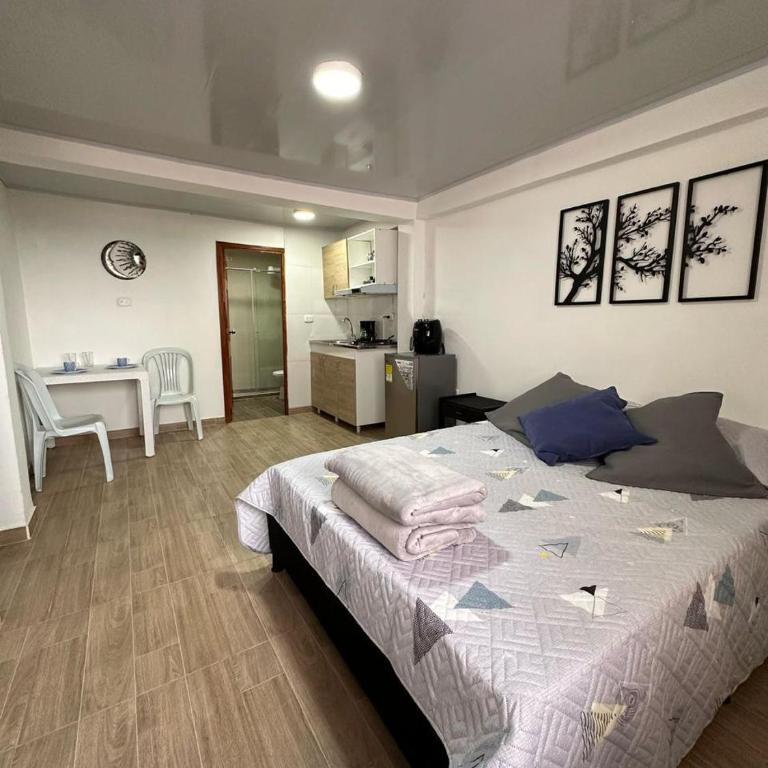 Apartaestudios Santa Ana - One-Bedroom Apartment - 1