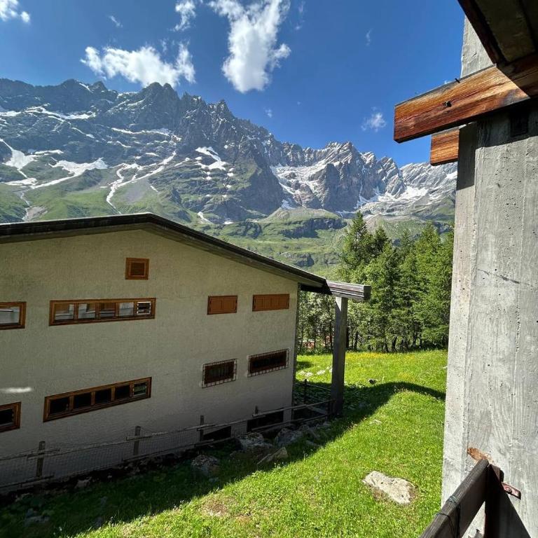 Rododendro Ski-in Ski-out CIR 0491 - Appartamento con 1 Camera da Letto - 20