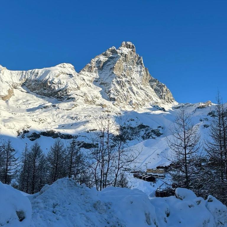 Rododendro Ski-in Ski-out CIR 0491 - Appartamento con 1 Camera da Letto - 25